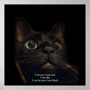 Lucky Black Cat Poster