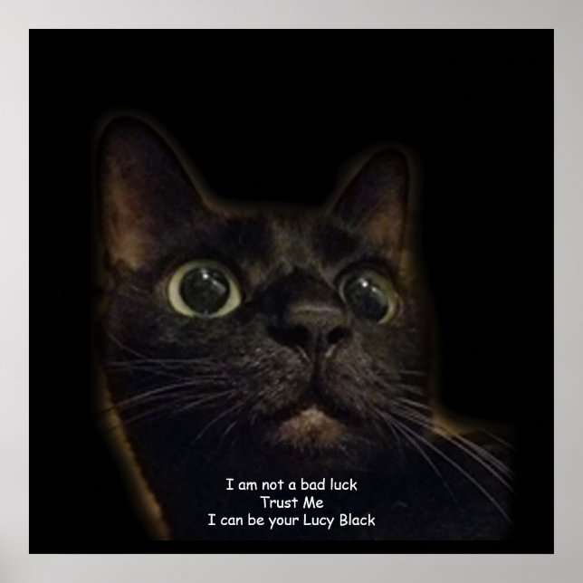 Lucky Black Cat Poster (Front)