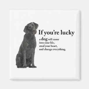 Lucky Black Lab Magnet
