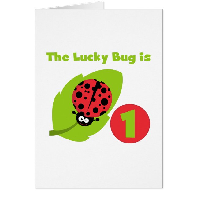 Lucky  Bug 1st Birthday T-shirts and Gifts (Front)