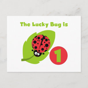 Lucky  Bug 1st Birthday T-shirts and Gifts Postcard