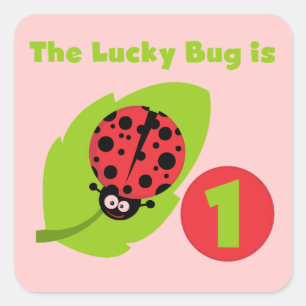 Lucky  Bug 1st Birthday T-shirts and Gifts Square Sticker