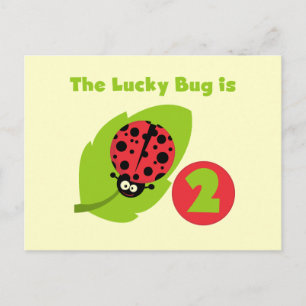 Lucky Bug 2nd Birthday T-shirts and Gifts Postcard
