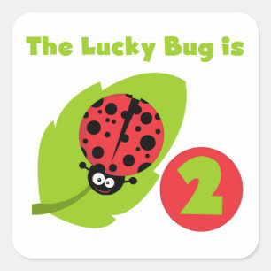 Lucky Bug 2nd Birthday T-shirts and Gifts Square Sticker