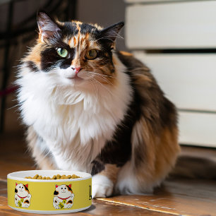 Lucky cat pet bowl