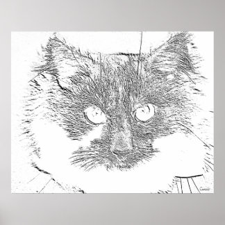 lucky cat poster