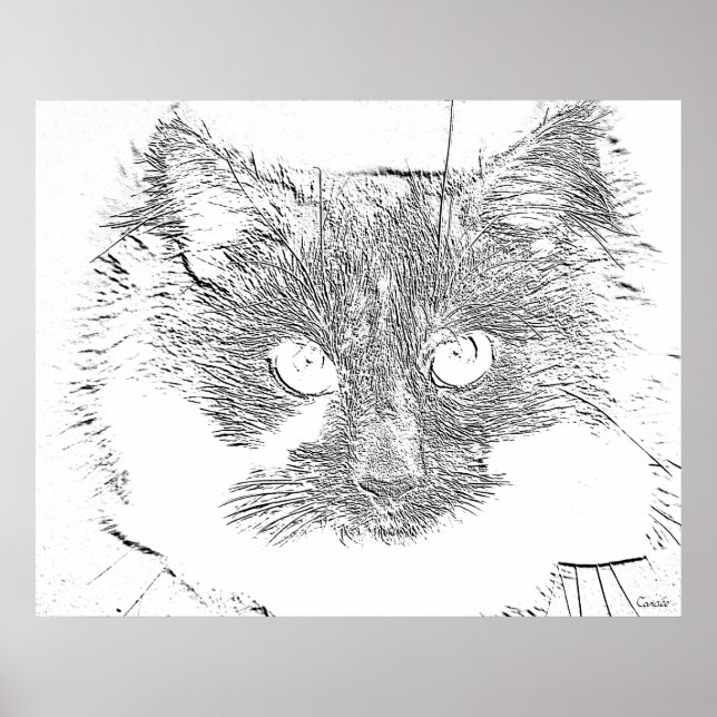 lucky cat poster (Front)