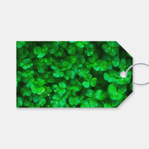 Lucky Celtic Irish Green Shamrocks Gift Tags