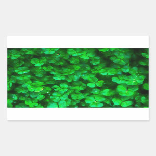 Lucky Celtic Irish Green Shamrocks Rectangular Sticker