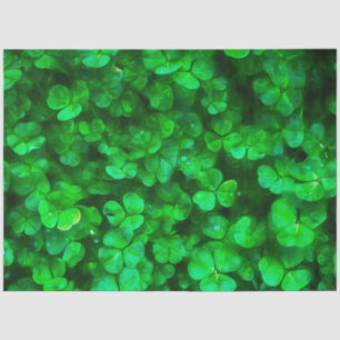 Lucky Celtic Irish Green Shamrocks Tissue Paper