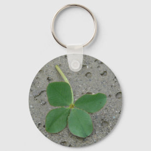 Lucky Charm Four Leaf Clover Photo Key Ring