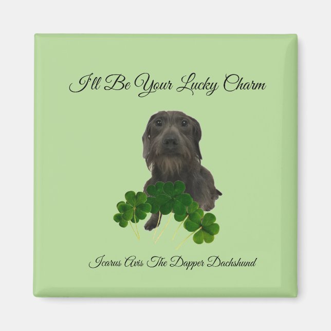 Lucky Charm Magnet (Front)