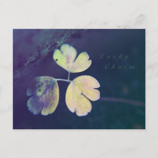 Lucky Charm Postcard