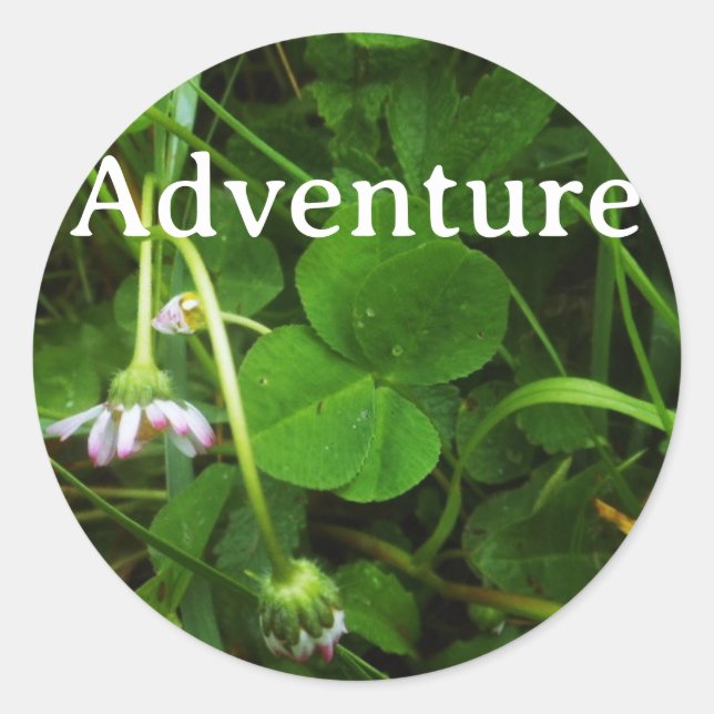 Lucky Charm Sticker  (Front)