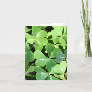 Lucky Clover Note Card