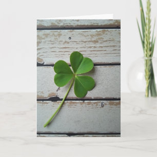 Lucky Clover Simple Card