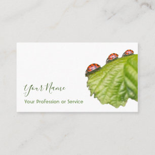 Lucky customers with lucky ladybugs! business card