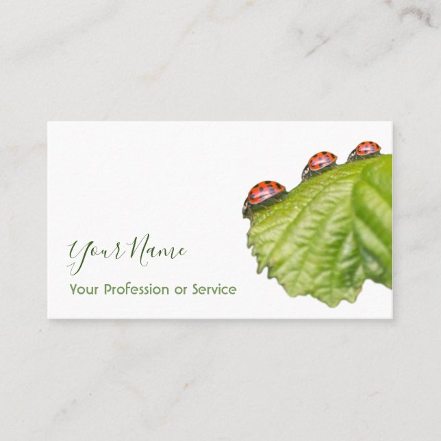 Lucky customers with lucky ladybugs! business card (Front)