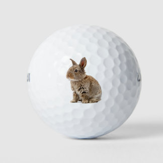 Lucky Cute Rabbit Bunny Golf Balls