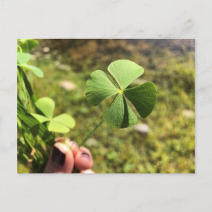 Lucky Day Postcard