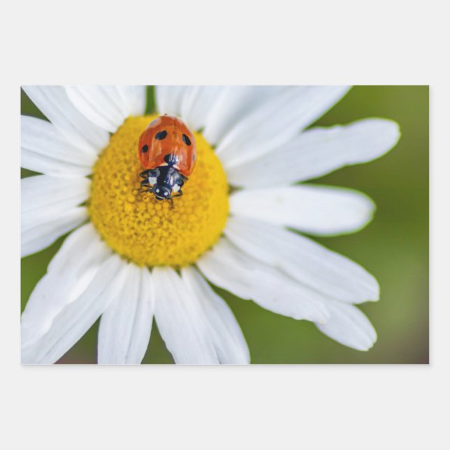 Lucky devil with this ladybug! wrapping paper sheet (Front 3)