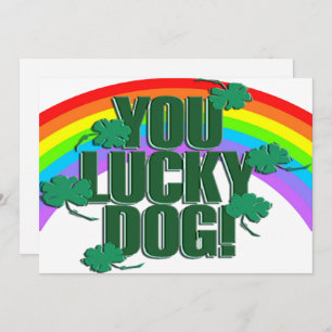Lucky Dog and Rainbow St. Patrick's Day Flat Holiday Card