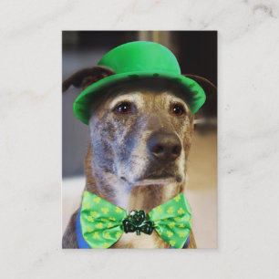 Lucky Dog Business Card