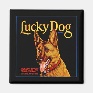 Lucky Dog Magnet