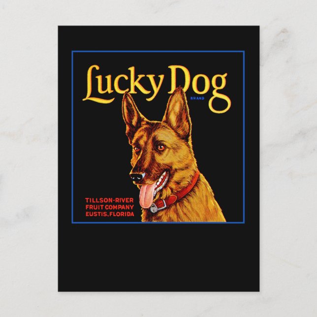 Lucky Dog Postcard (Front)