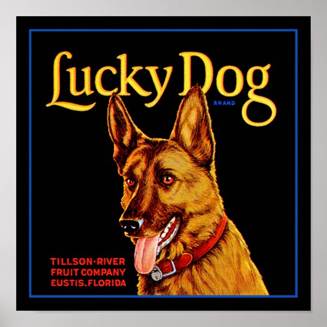 Lucky Dog Poster (Front)