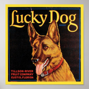 Lucky Dog Vintage Crate Label Poster