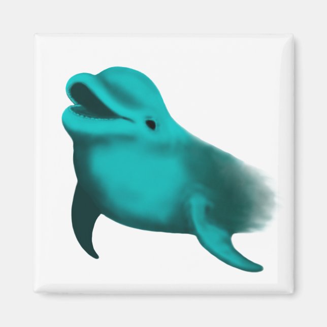 Lucky Dolphin Magnet (Front)