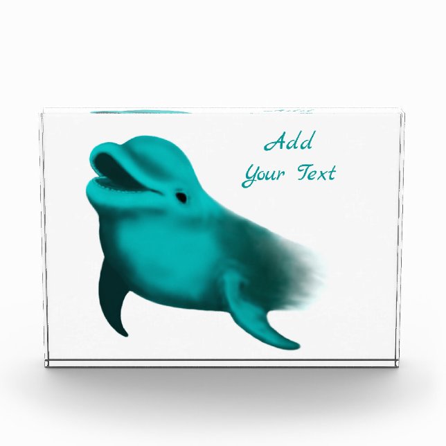 Lucky Dolphin Photo Block (Front)