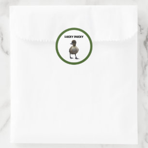 Lucky Duck Funny Cute Duckling Bird Photo Art Classic Round Sticker