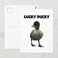 Lucky Duck Funny Cute Duckling Bird Photo Art