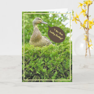 LUCKY DUCKY/GOT YOU FOR A DAD/DUCK ON TOP OF HEDGE CARD