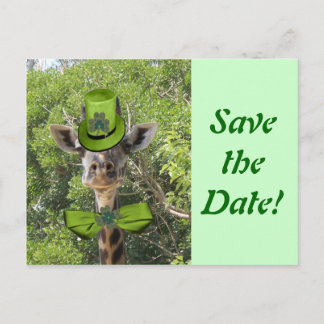 Lucky Giraffe Announcement Postcard