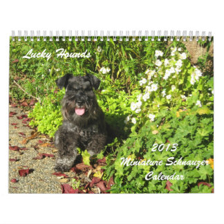 Lucky Hounds Miniature Schnauzer Calendar 2013