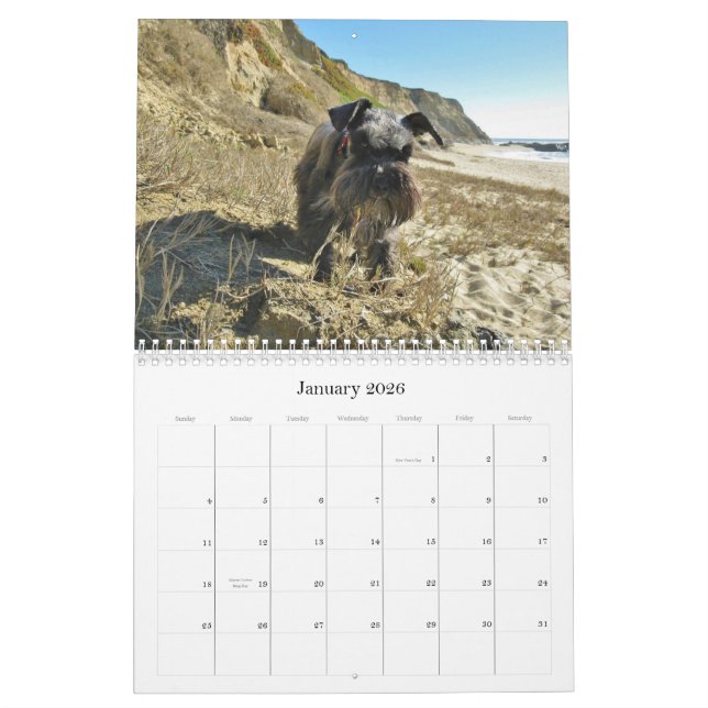 Lucky Hounds Miniature Schnauzer Calendar 2013 (Jan 2026)