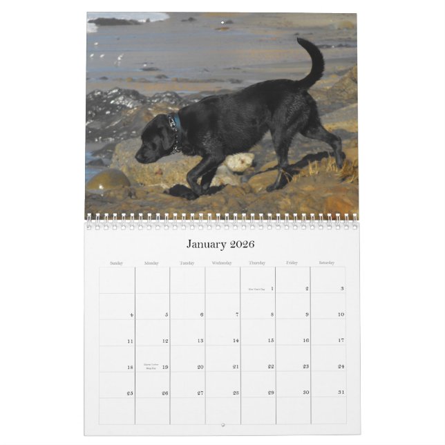 Lucky Hounds Retriever Calendar 2012 (Jan 2026)