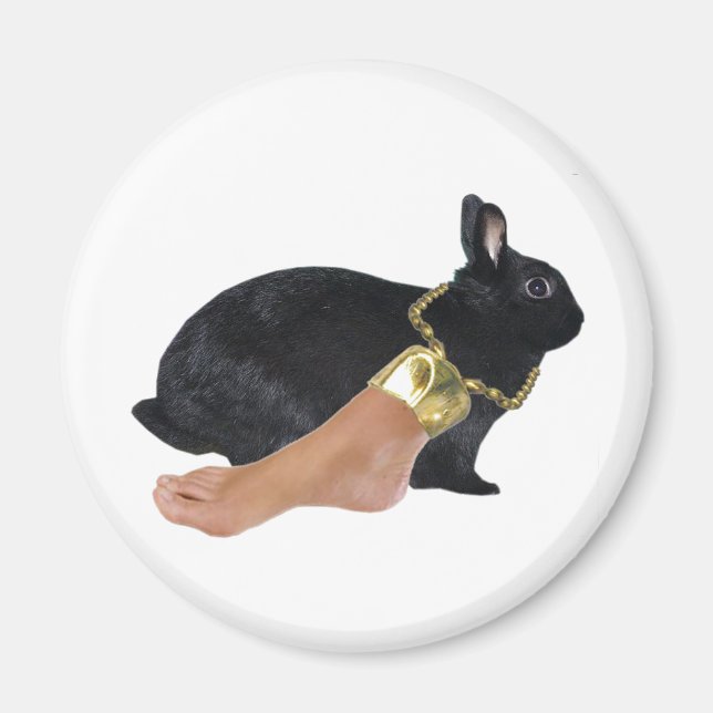 Lucky Human's Foot Magnet (Front)