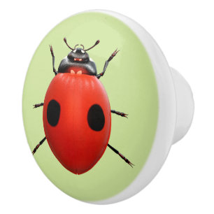 Lucky Ladybug Ceramic Knob