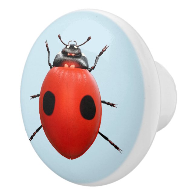 Lucky Ladybug Ceramic Knob (Right)