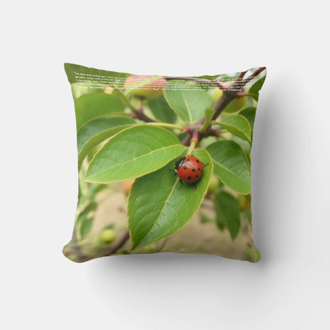 Lucky Ladybug Cushion (Front)