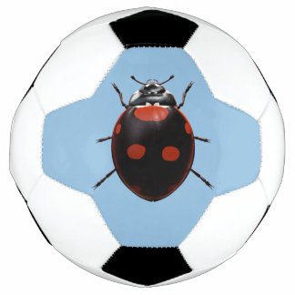 Lucky Ladybug Football