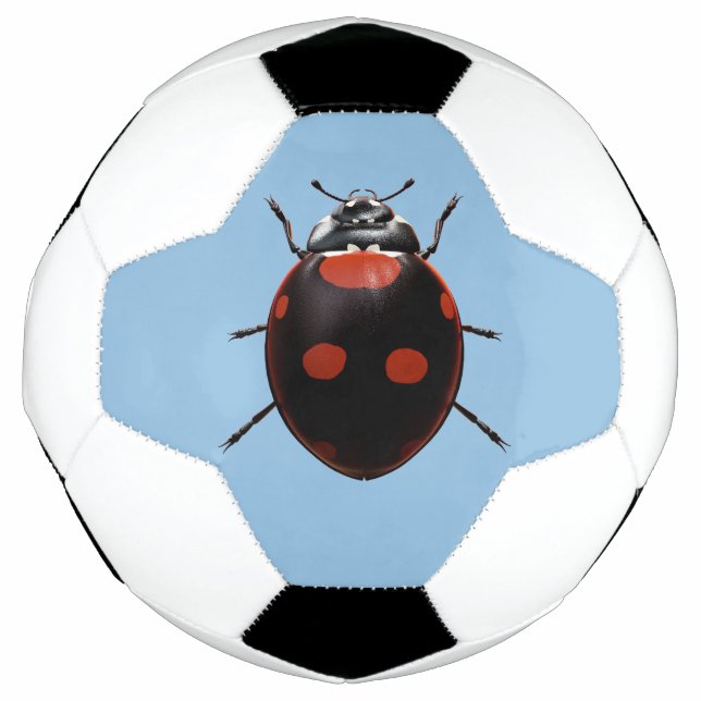 Lucky Ladybug Football (Front)