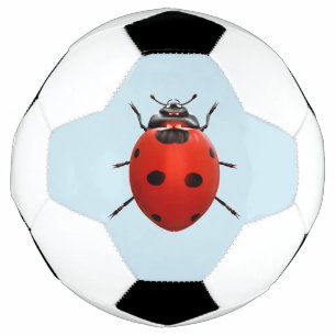 Lucky Ladybug Football