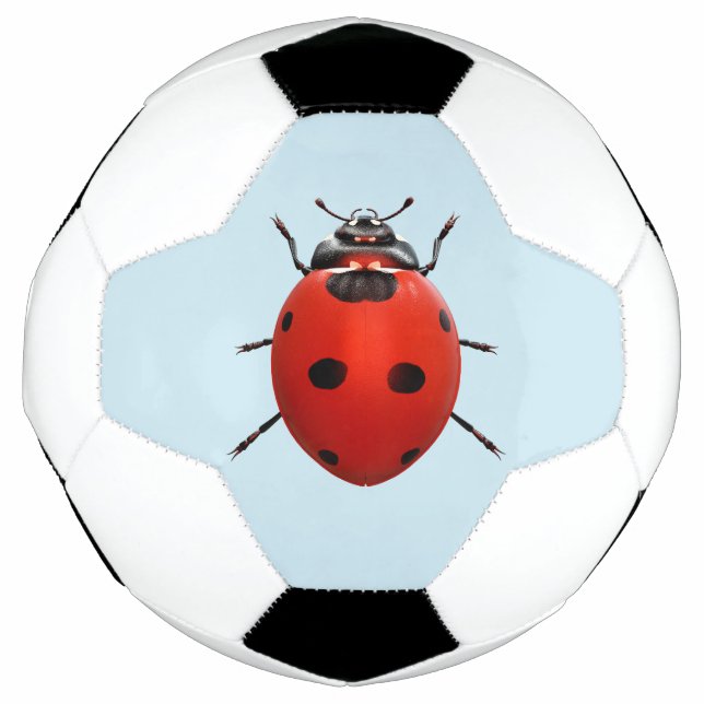 Lucky Ladybug Football (Front)