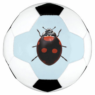 Lucky Ladybug Football