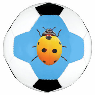 Lucky Ladybug Football